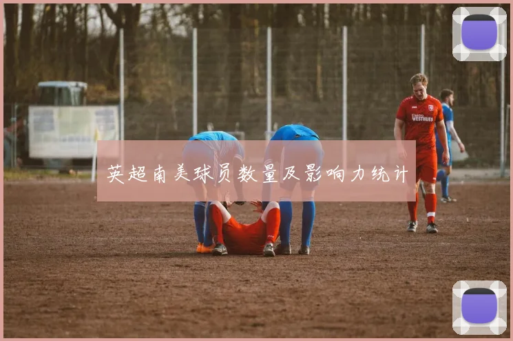 英超南美球员数量及影响力统计