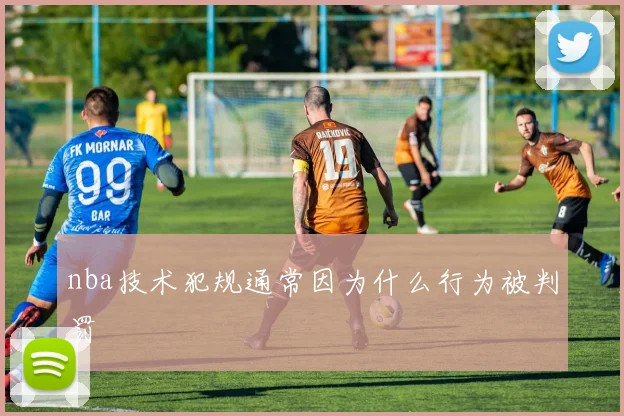 nba技术犯规通常因为什么行为被判罚